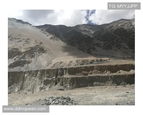 深度对话探寻杨秀英在英雄联盟中的成长与挑战之路